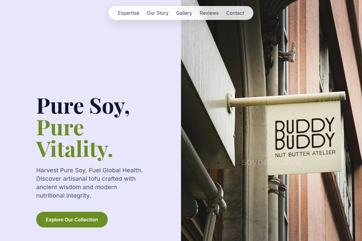 Tofu Specialty Food